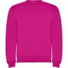 Sudadera Clásica ROLY 1070 infantiL
