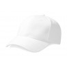 Gorra de algodón Heavy peinado BEECHFIELD B65