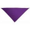 Pañuelo triangular de comparsa VALENTO Gala