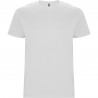 Camiseta infantil ROLY 6681 STAFFORD manga corta